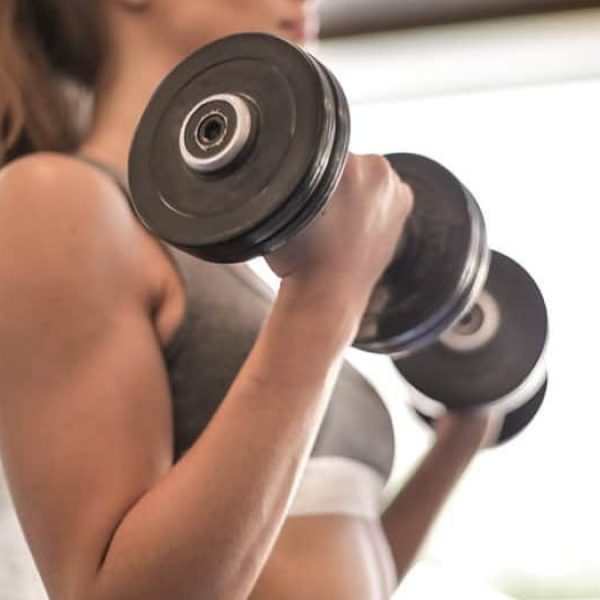 Plan de entrenamiento